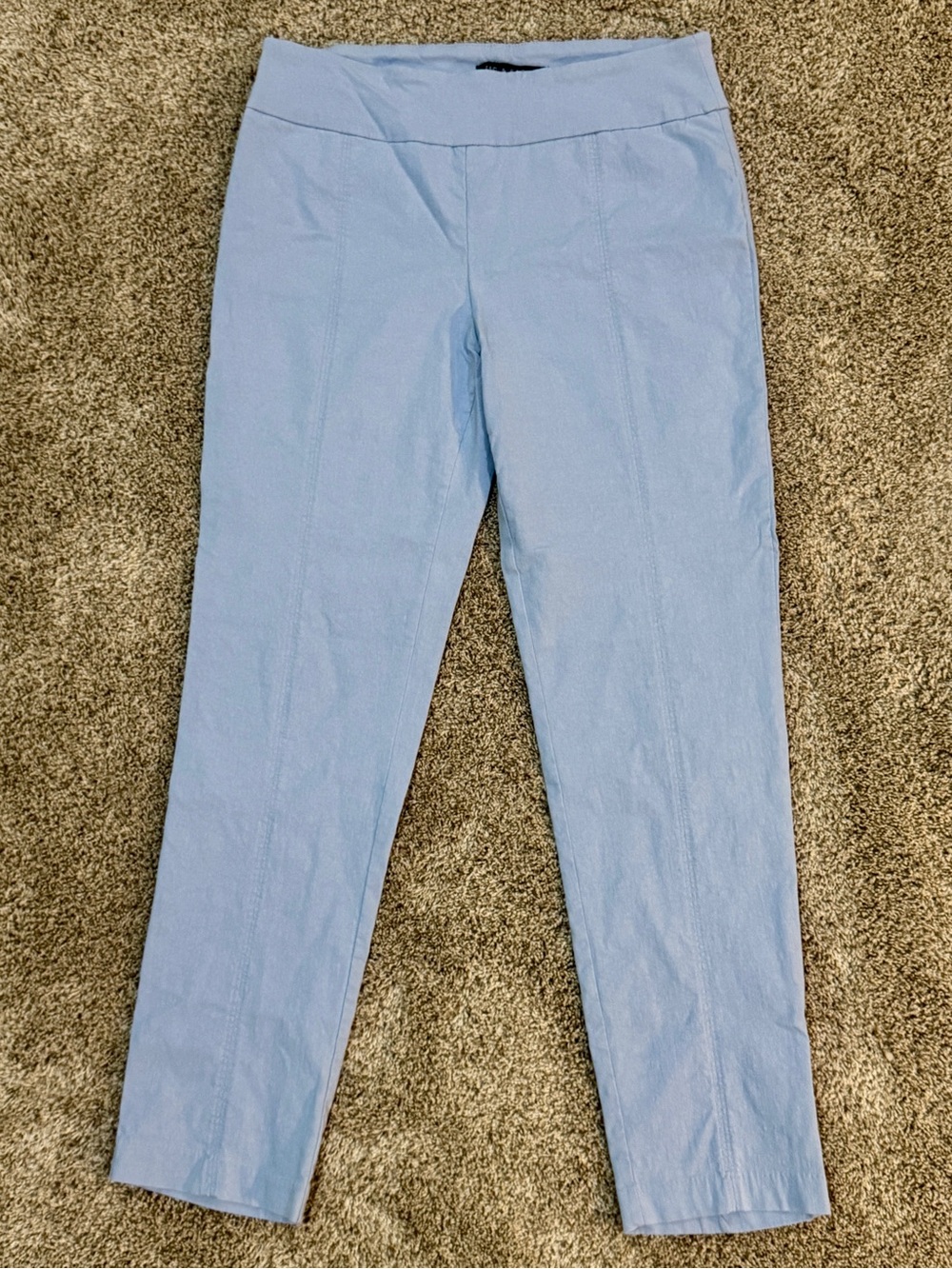 EUC Zac & Rachel Women's Tummy Control Millennium Slim Ankle Length Pants, 14
